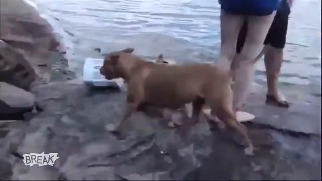 друг ценою в жизнь!