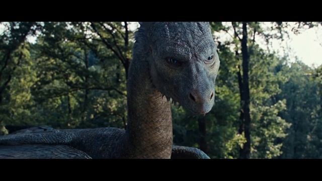 Eragon - Saphira La Dragona 3/11 