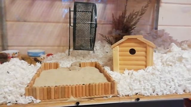 Bcf34de42c1b8d53aca2353423593379