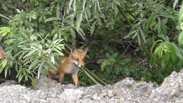 3012af12c5763d82db52f8b8027f8169