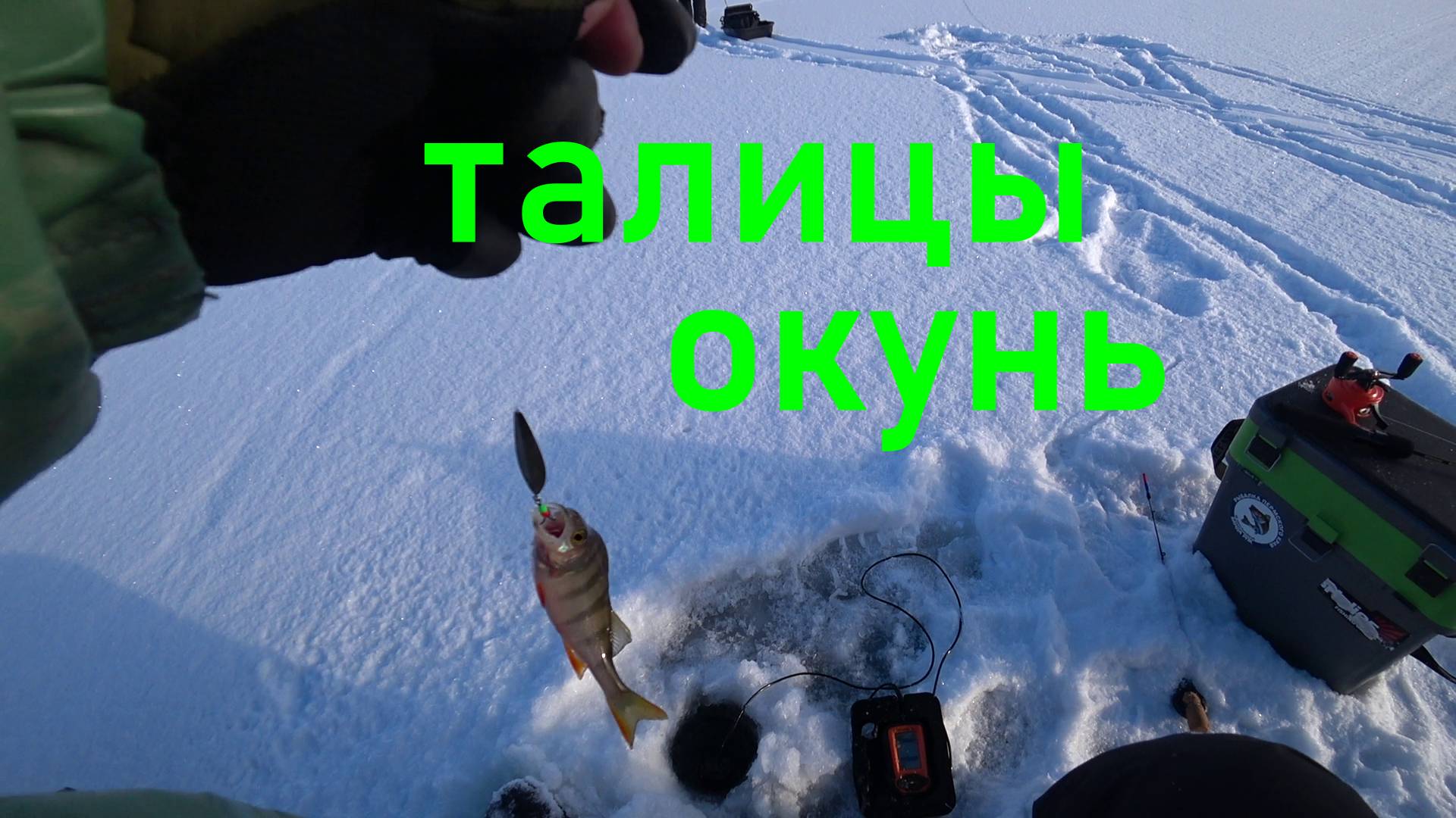 7c433a444da974a9d442f76c053086c3