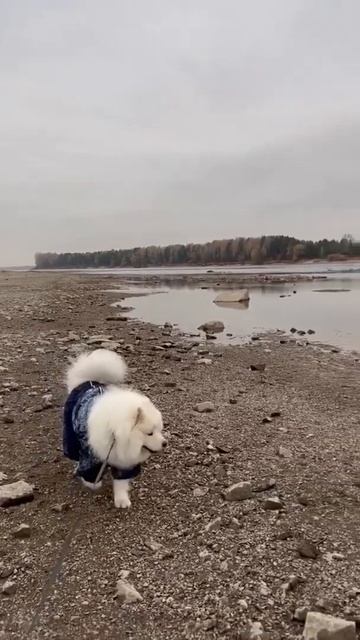 777ed422efe1c848fdefc89d58e9ec73