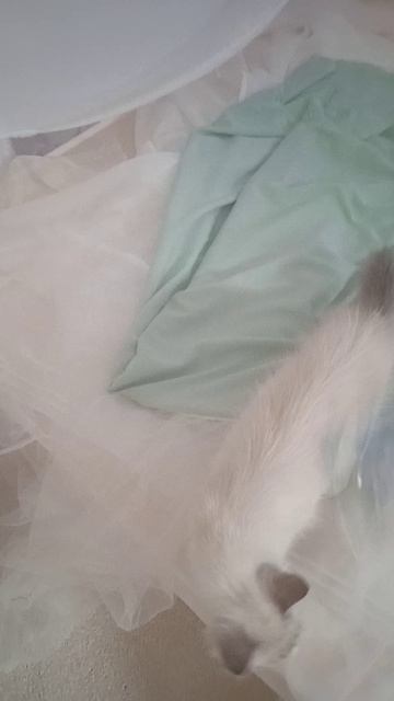 549a201aabdb5b937c22cb2c1bcd6d4f