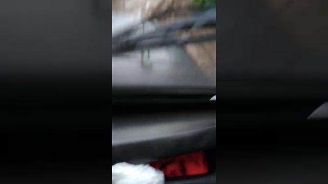 За брусникой. 04.09.2020