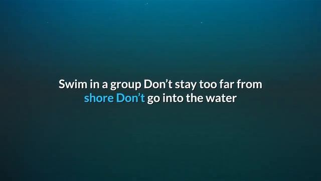 10 Tips For Avoiding A Shark Attack