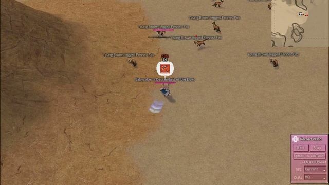 Mabinogi - Hunting Young Brown-Legged Fennec Foxes