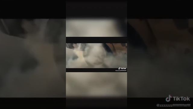тик ток Машины