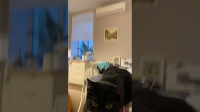 Чуча Ах-ха ха