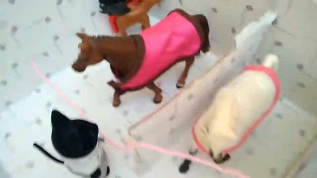 Быстрый обзор на конюшню)))