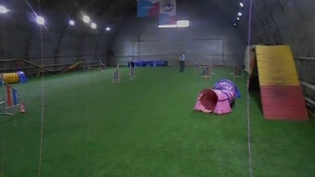 Изображение 2385