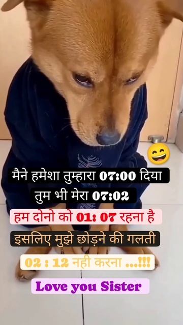 Love You Sister 😂 #iamashithakur #funny #comedyfilms #comedy