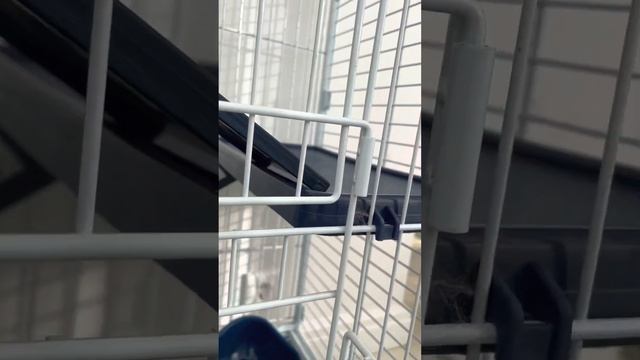 Если вы это не сделаете то шиншилл может 💀☠️