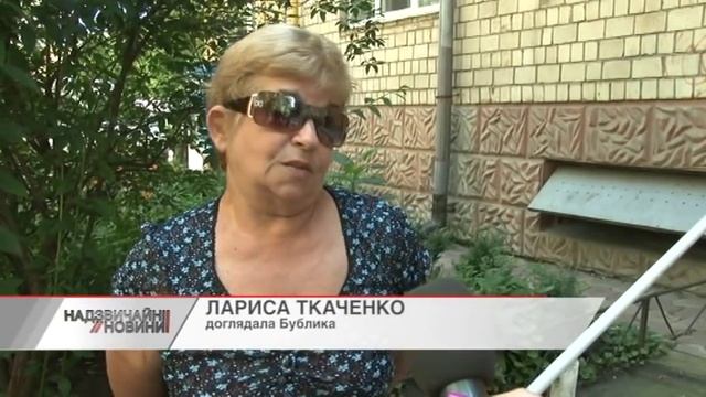 Садисти натравили бійцівського собаку на місцевого кота