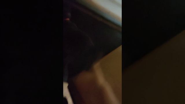 D608607701f45918fb14f65e42942369