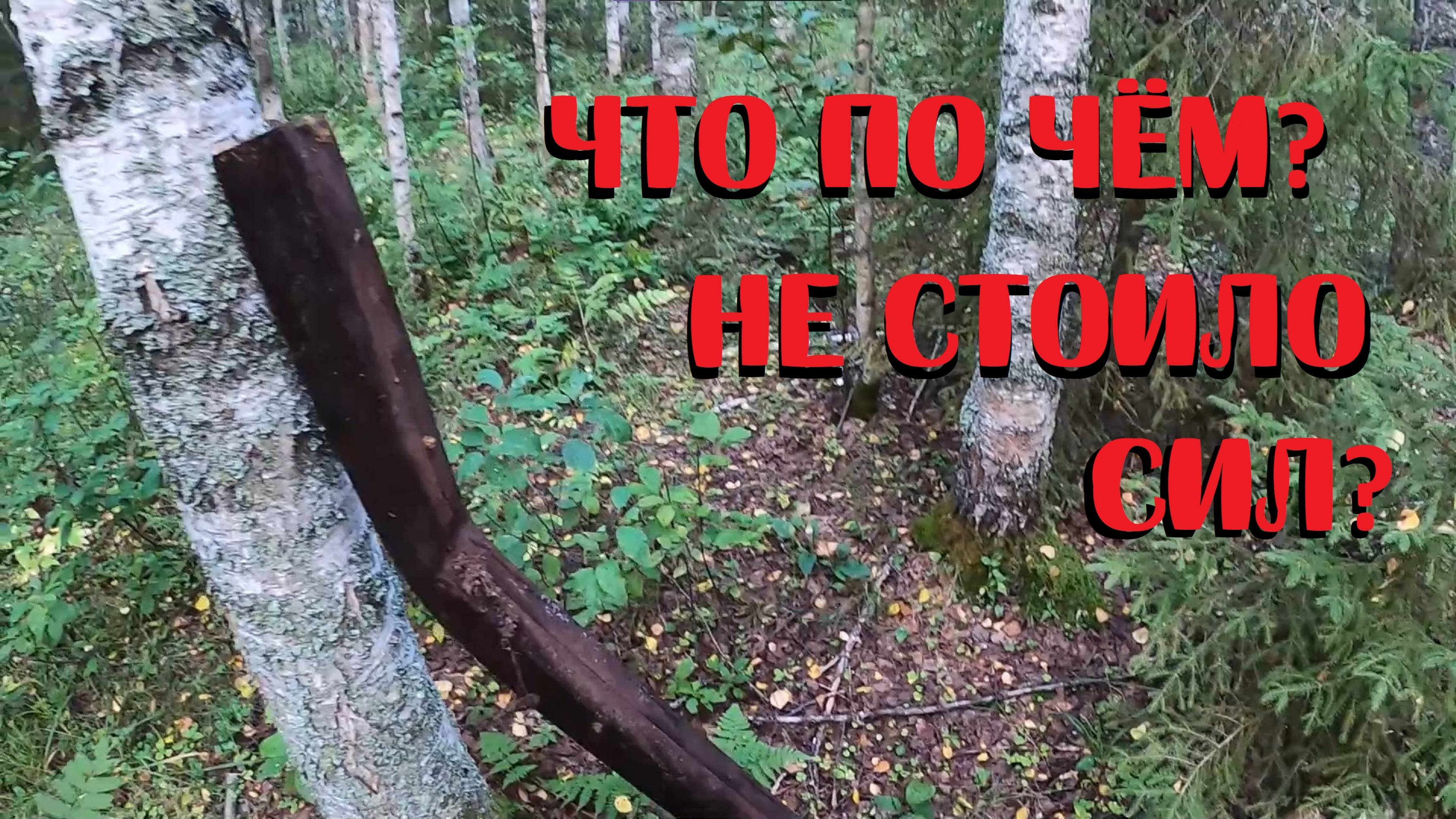 ➤ ОСЕННИЕ ПОИСКИ ПО ДЕЛЯНКАМ 70-ЫХ!