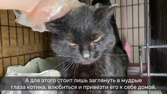 ГЕРОИЧНЫЙ