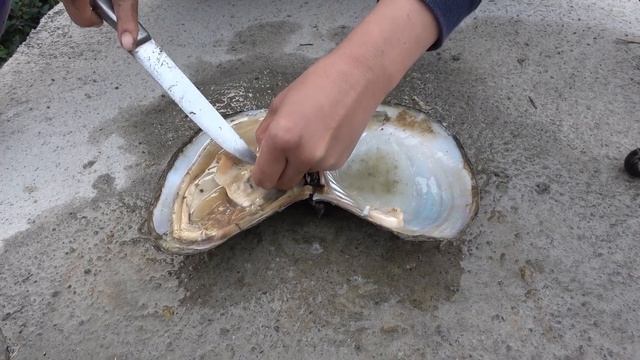 7c1824d37058baba3418c7fba07909a8