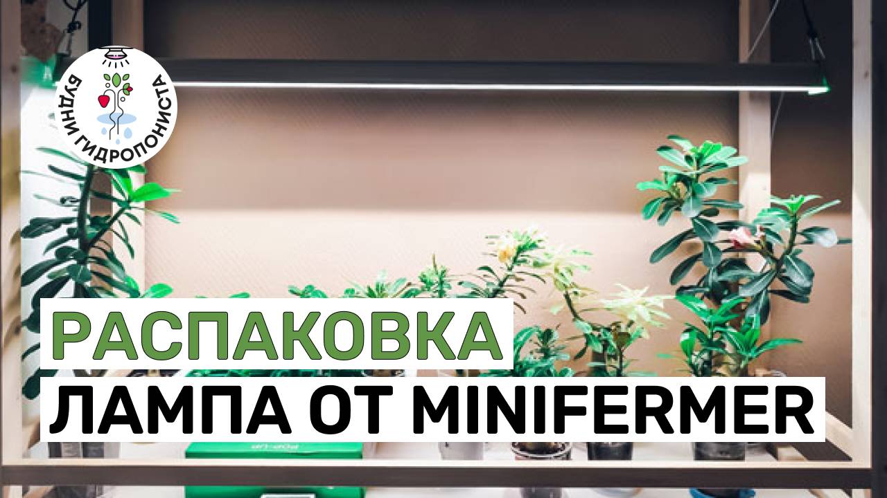 Распаковка новой фитолампы от Minifermer