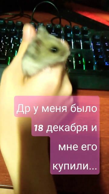 164071c028b0a639aa84197654c9d693