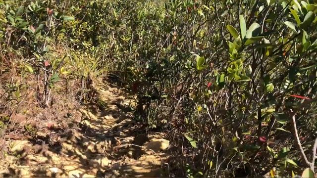 HIGH WEST[SAI KO SHAN] LOCATED IN HONGKONG ISLAND