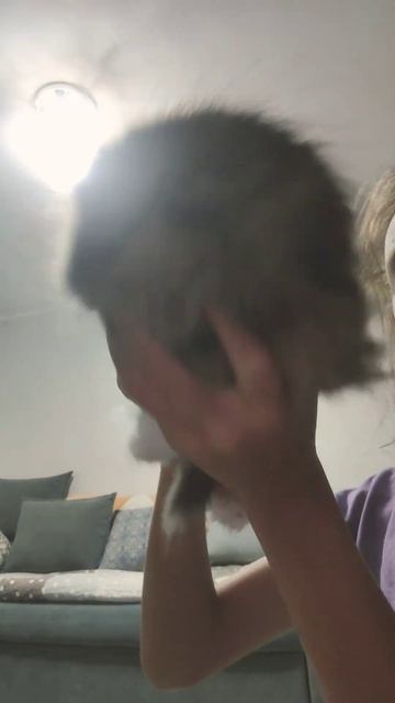 Df3cfd4285834059b15f424a0833b956