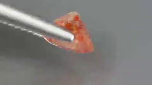 001865e8bcc8464f12b393419bbd5a89