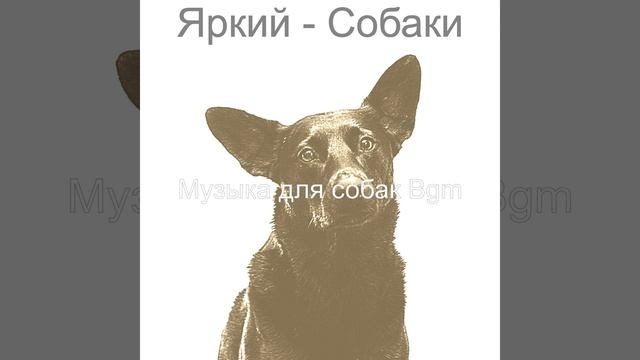 Звуки (Дрессировка собак)