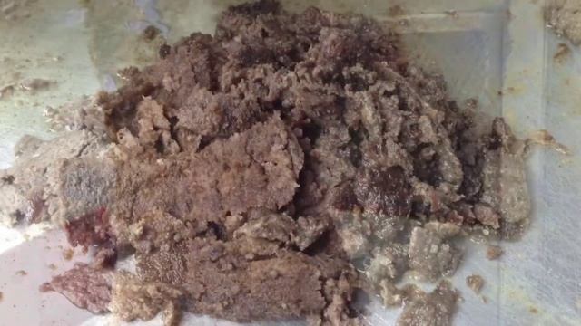 Jacob's Shawarma AIC Grande Tower Sapphire Road Ortigas Center By HourPhilippines.com