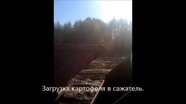 Посадка картофеля