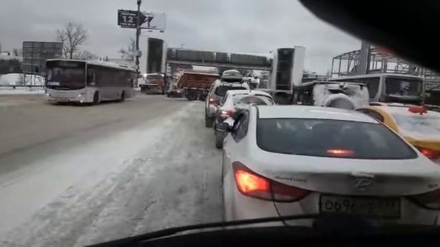 Wildlife Enthusiasts Group