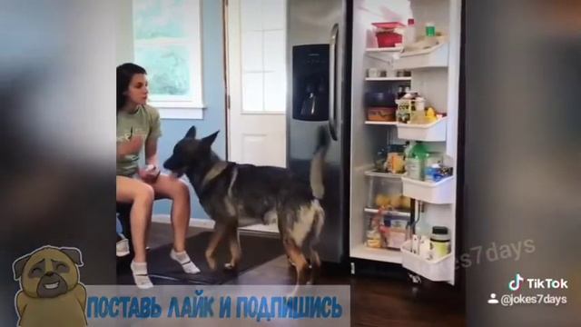 Jokes 7 Days #948