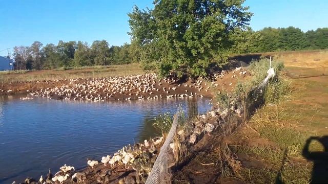 Бархатный сезон