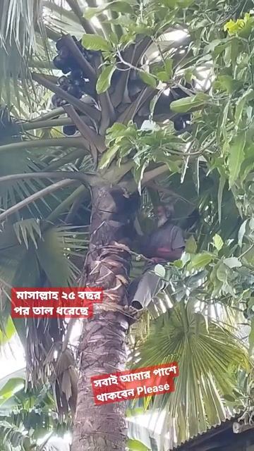 6213747eeaa4048ca1e2aed783d4c3cc