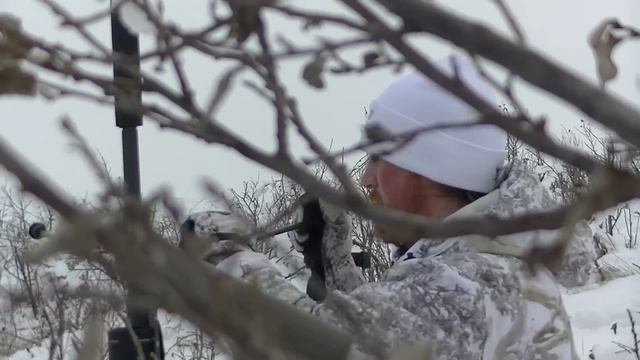 SIMULTANEOUS SHOTS ON COYOTE. 2 SHOTS 1 KILL. WITH VAPOR TRAILS.