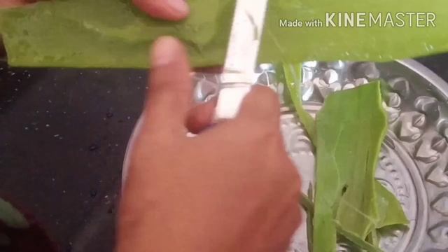 How To Make Yummy Aloe Vera Juice In Tamil//healthy Aloe Vera Juice//aloe Vera Uses// Trendy Fancy