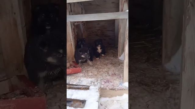 74d892afc3202d87584c2264e54eb88f