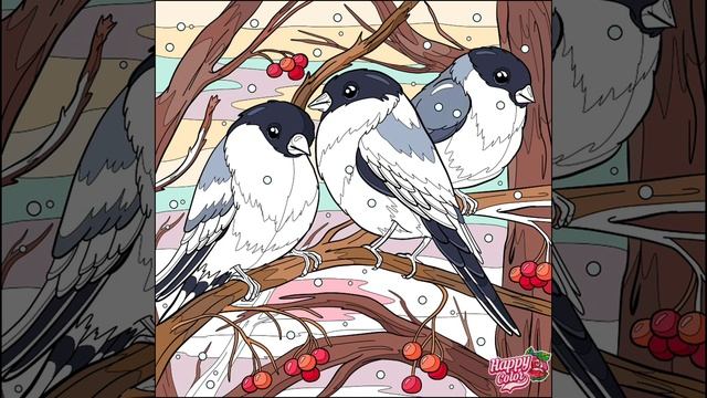 Снегири. Птицы. Видео раскраска. Антистрес. Bullfinches. Birds. Video Coloring. Antistress. #shorts