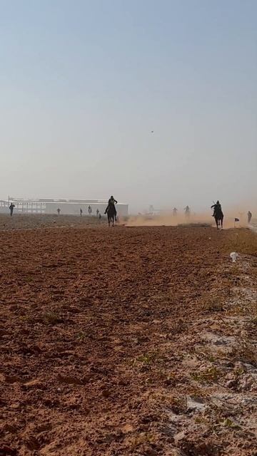 СКАЧКИ В ХУДЖАНДЕ🔥БУЗКАШИ ИППОДРОМ🔥#таджикистан #бузкаши #buzkashi #hujand