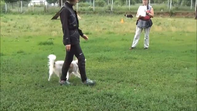 Обидиенс-1. Проба. 05.07.2015 г.