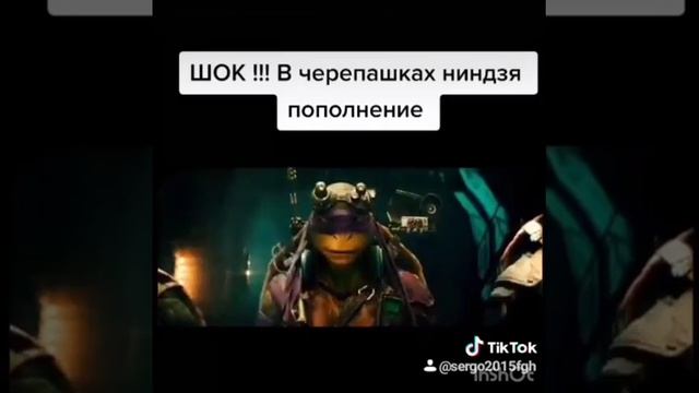 Пополнение черепашек ниндзя