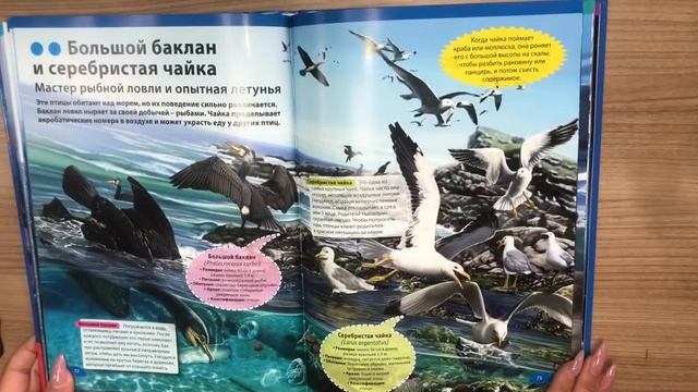 Подводный мир. Иллюстрированная энциклопедия