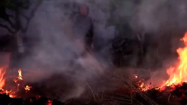 Опале листя: спалювати чи компостувати?