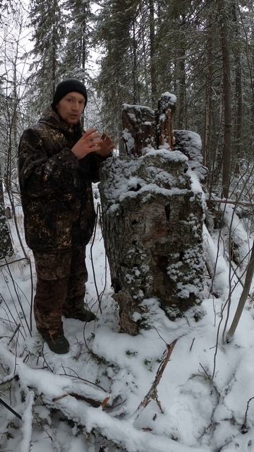 Мёд тунгусских пчел.Где найти глюкозу в лесу?