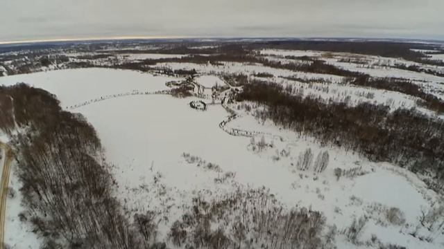 Подснежники