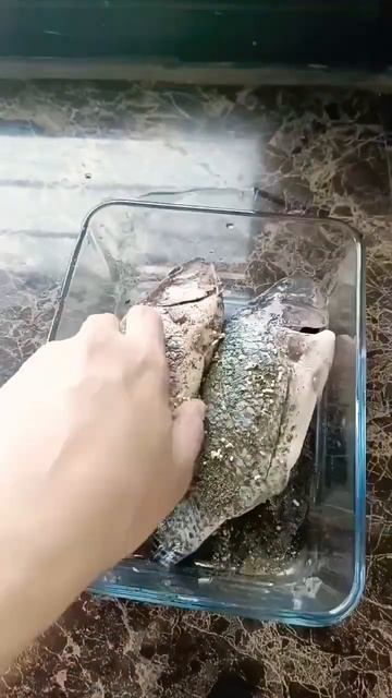 Marinated Fish #marinated #fish #shorts