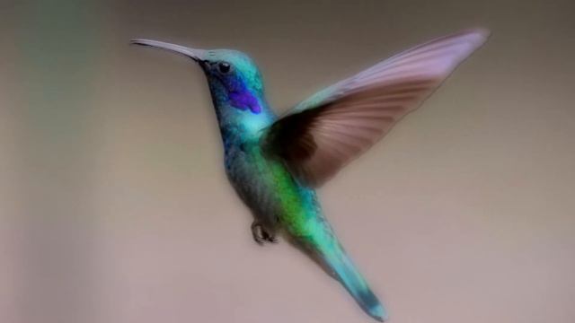 78b43cc0ed0460e80812860e0c3cf205