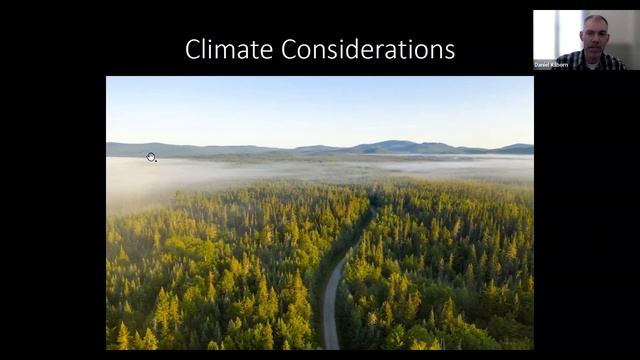 Tree Talk Tuesday: Spruce, Fir And Pines