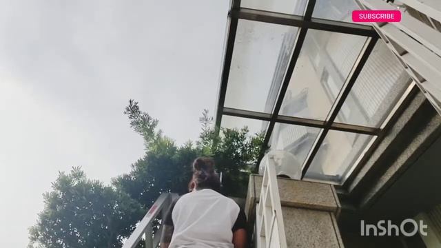 Berkebun Di Halaman Rumah