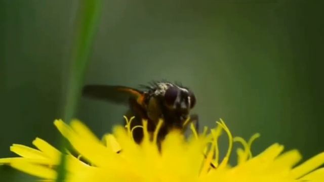 A1816db55828142bd05f46e66860ba8c