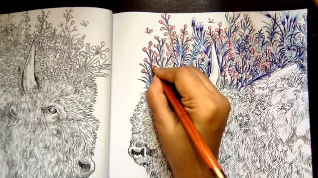 Easy Bison colouring|World of Color|Kerby Rosanes|Adult coloring Book|Part - I|